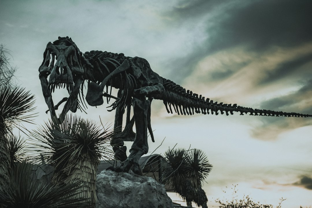 Illustrative dinosaur fossil display representing paleontology research