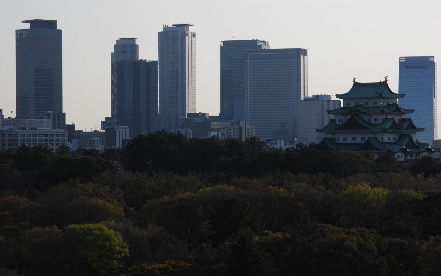 Nagoya skyline with Nagoya Castle and the city center visible