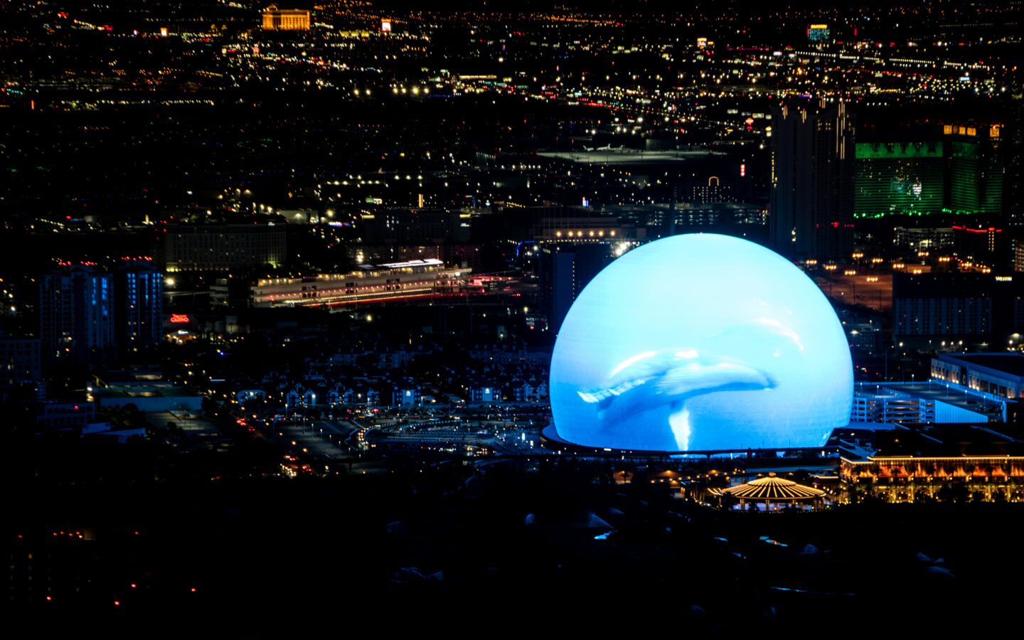 The Sphere illuminated in the Las Vegas skyline at night