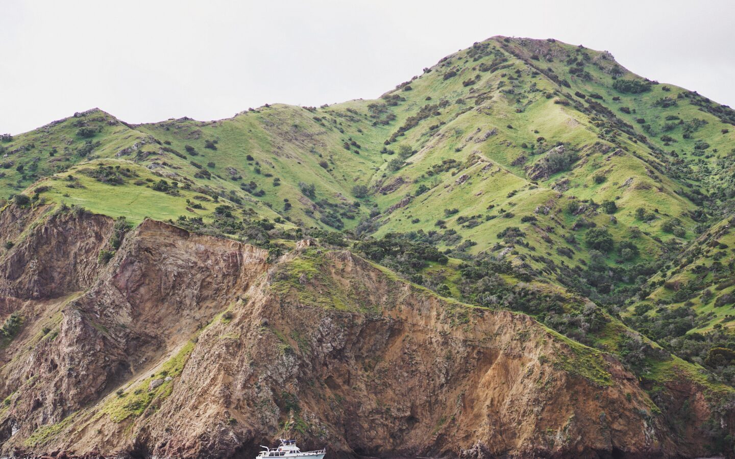 Catalina Island açıklarında deniz
