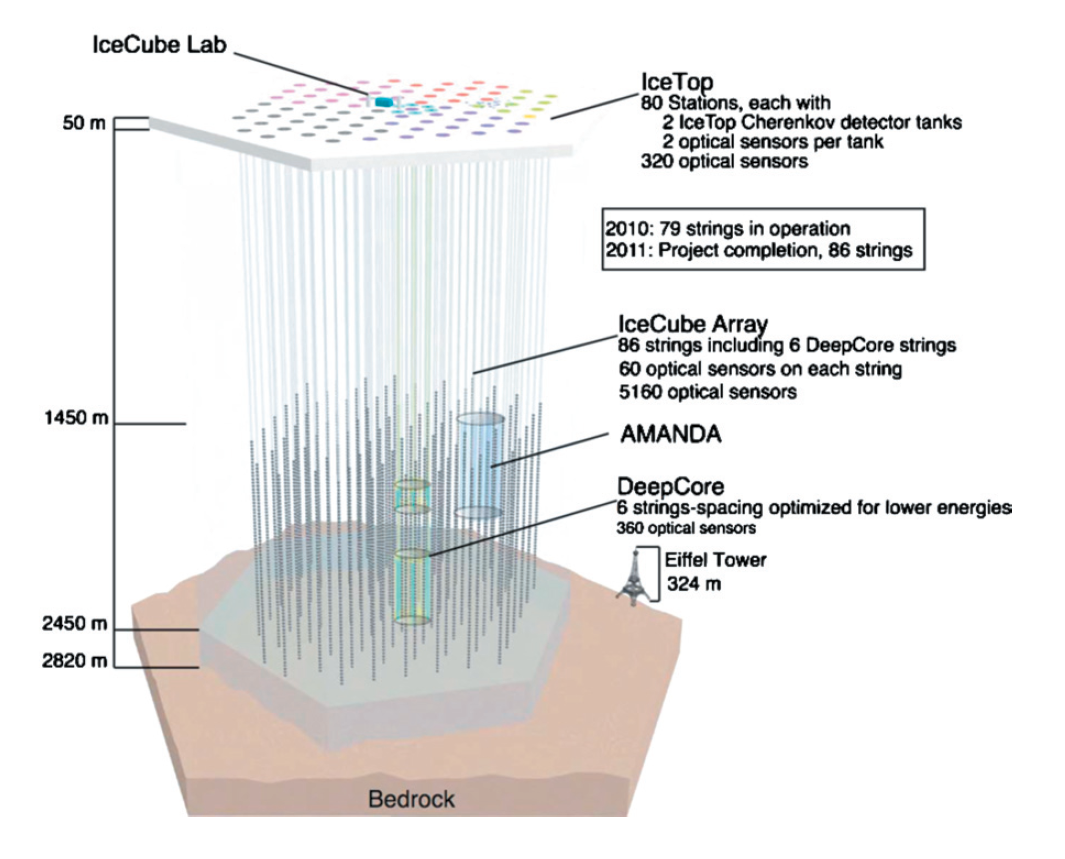 IceCube Neutrino Observatory detector architecture