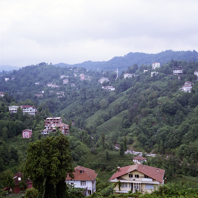 Rize’de çay bahçesi