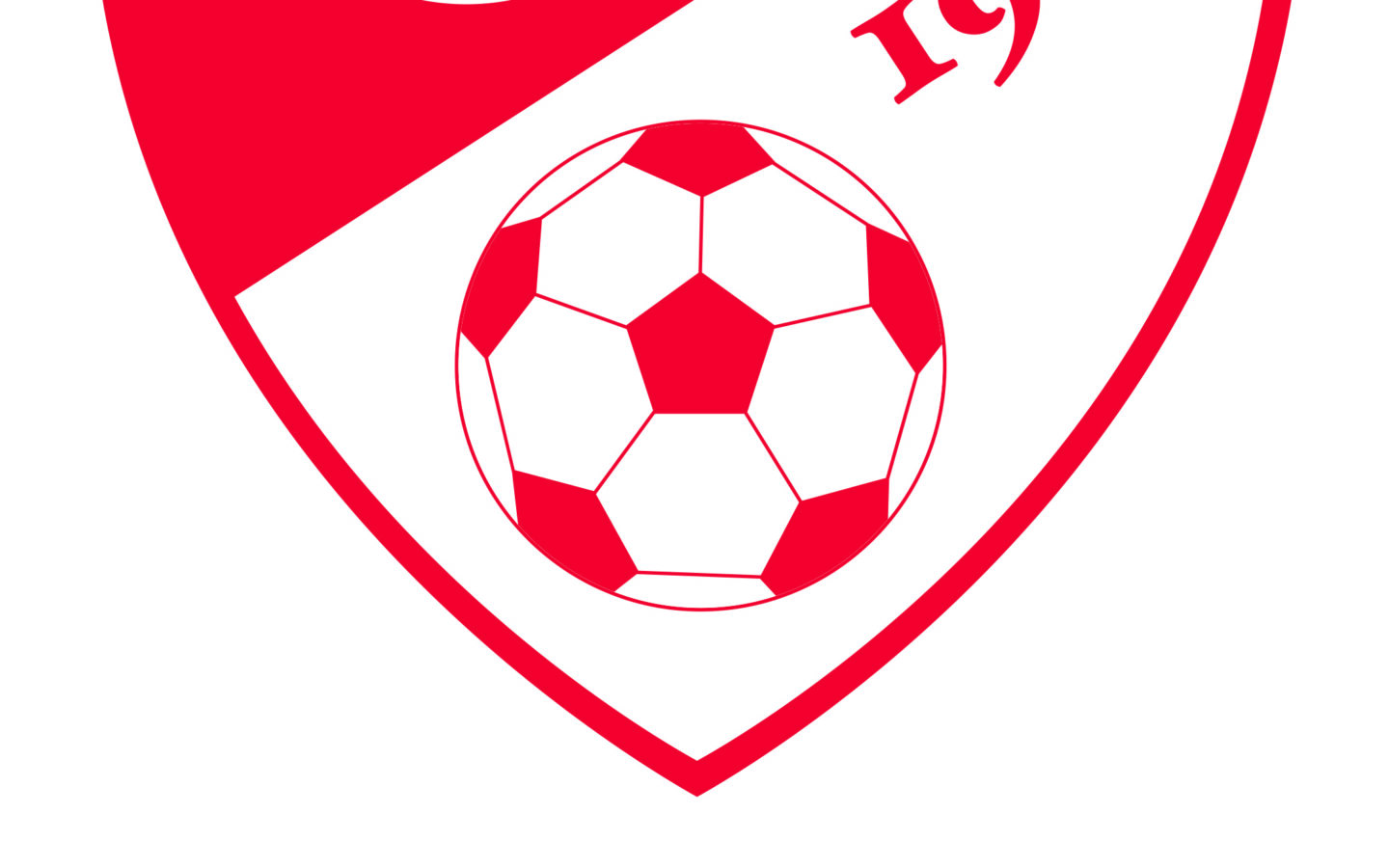 Türkiye Futbol Federasyonu TFF görseli